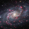 The Triangulum Galaxy G203 Prodigy RGB Wired Gaming Mouse Skin
